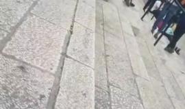 #مباشر.. احتفالات المستوطنين بذكرى ما يسمى "توحيد القدس" في باب العامود بالقدس المحتلة