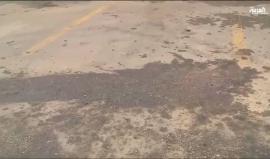 من مكان العملية .. 

#شاهد شخص يفجر نفسه في مدينة جدة فجر اليوم