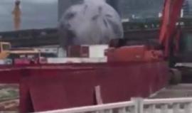 #شاهد كرة مطاطية عملاقة تتجول في شوارع تايوان بسبب قوة الرياح المصاحبة لاعتصار قوي يضرب البلاد