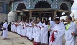 #شاهد | دعاء مصلون أتراك في باحات المسجد الأقصى قبل قليل.