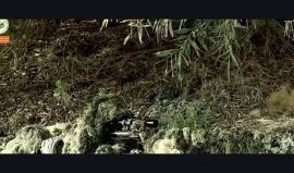 #شاهد 
جديد || أنشودة أمعاء وخيال وخيل .. أداء نجوم غرباء للفن الاسلامي