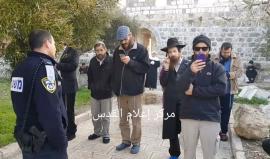 اغلاق باب المغاربة بعد اقتحام نحو 60 مستوطنا ساحات المسجد الأقصى