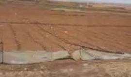 مباشر: من مخيم العودة شمال غزة
تصوير: توفيق حميد