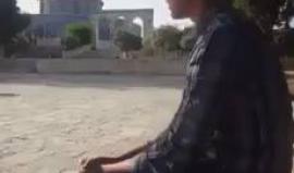 سوف نبقى هنا 
بصوت Ameer Dana