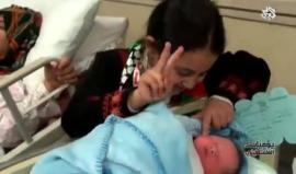 معركة نضالية من نوع مختلف في #فلسطين.. تهريب النُّطَف من المعتقلين في سجون الاحتلال إلى زوجاتهم أنجب 40 طفلاً