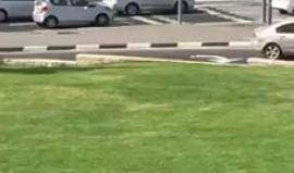 فيديو - إغلاق المنطقة المحيطة في عملية إطلاق النار بالقدس المحتلة