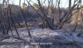 "تحولنا الى بط في ميدان الرماية"..

#فيديو مستوطنو غلاف غزة لقادتهم: أنجدونا، غزة حولت حياتنا الى حريق وسواد.. أصبحنا نخشى العيش هنا، فقدنا مصدر رزقنا .. تحركوا أفعلوا شيئًا.

ترجمة وكالة شهاب _ قناة كان الاسرائيلية