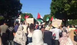 مشاهد من تظاهرة تونسية رفضا لانتهاكات الاحتلال بحق الأقصى ودعما للشعب الفلسطيني 
تصوير الصحافية هاجر عمار