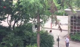 #عاجل .. #شاهد 
إطلاق نار داخل مركز تسوق في مدينة ميونيخ الألمانية.. وحالة ذعر تسود المكان