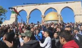 #فيديو هتافات غاضبة في المسجد الأقصى رفضا لاعلان القدس عاصمة للاحتلال الاسرائيلي

تصوير: محمد قاروط ادكيدك