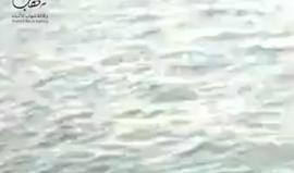 ملاسنة بين بحرية الاحتلال وصيادين فلسطينيين في بحر غزة ،،