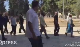 مستوطنون يجددون اقتحامهم للمسجد الأقصى عقب صلاة الظهر .