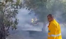 #شاهد الحرائق المشتعلة في مستوطنة بئيري في غلاف غزة بسبب الطائرات الورقية