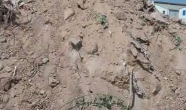 #مباشر توافد الجماهير المنتفضة الى موقع ناحل عوز شرق مدينة غزة
بث/ عبد الرحمن الربعي