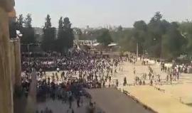 #شاهد #مباشر المرابطون يدخلون المسجد الاقصى ويكسرون قرار الاحتلال باغلاق باب حطة احد ابواب الاقصى