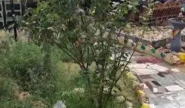 #شاهد تساقط الأمطار صباح اليوم في قطاع غزة 

تصوير: مثنى النجار