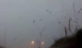 #شاهد لحظة ضرب صاعقة برق عامود كهرباء في الولايات المتحدة الأسبوع الماضي