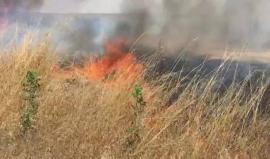 #فيديو اندلاع حريق قرب مستوطنة "نتيفوت" بفعل بالون حارق أطلق من غزة