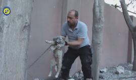 16 شهيد من الاطفال والنساء في قصف على بلدة عويجل في ريف #حلب الغربي
(مشاهد قاسية)