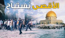 بأعداد كبيرة من المستوطنين .. 

#شاهد المسجد الأقصى دُنس اليوم واُستبيحت باحاته وأقيمت الصلوات التلمودية.. وأطلقت صيحات الاستغاثة، فهل تلقى مُجيب؟