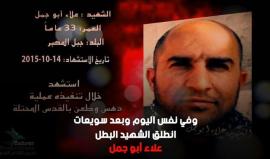 #شاهد #فاصل  حينما ينتفض جبل المكبر.. عن الأبطال عليان غنام وأبودهيم وأبو جمل