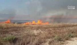 #شاهد الحرائق في حقول الاحتلال شرق قطاع غزة بفعل الطائرات الورقية التي أطلقها الشبان من القطاع