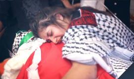 #شاهد أنشودة "عمري الوحيد" .. إهداء لزوجات الشهداء الأبطال