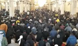 #شاهد #مباشر خطبة وصلاة الجمعة من المسجد الأقصى المبارك - القدس عاصمة فلسطين