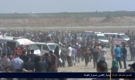 #مباشر فعاليات #مليونية_القدس على طول الحدود الشرقية لقطاع غزة