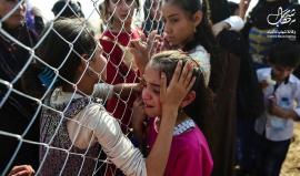 في دقيقة.. الموصل مأساة إنسانية جديدة !