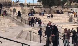 #شاهد قوات الاحتلال تعتقل قبل قليل فلسطينياً في منطقة باب العامود بالقدس المحتلة.