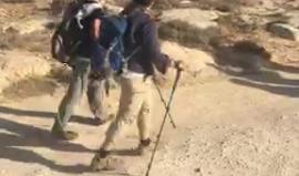 #مباشر للوفد البريطاني الذي جاء للتضامن مع الشعب الفلسطيني بسبب وعد بلفور ويتوجهون مشيا لمناطق مسافر يطا التي تتعرض لمضايقات دائمة من الاحتلال والمستوطنين