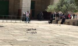 #شاهد مستوطنون يقتحمون ساحات المسجد الاقصى بحراسة شرطة الاحتلال هذه اللحظات.