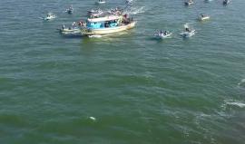 #شاهد : رسائل لاحرار العالم باللغة الانجليزية على هامش المسيرة البحرية اليوم في ميناء غزة