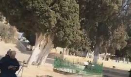 جولة في باحات المسجد الأقصى المبارك صباح اليوم