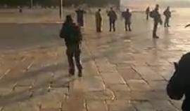 #شاهد اقتحام عشرات المستوطنين لباحات المسجد الأقصى صباح اليوم