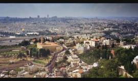 #شاهد .. #كليب | عودة ظريف الطول .