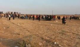 #عاجل #مباشر مدفعية الاحتلال تستهدف محيط منطقة مخيم العودة شرق مدينة غزة