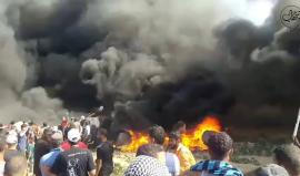 #فيديو مظاهرات #مليونية_القدس شرق البريج 

‏تصوير: صابر قدوحة‏