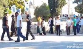 #شاهد مستوطنون يقتحمون المسجد الأقصى المبارك