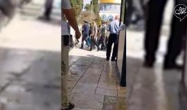 #فيديو مجموعات من المستوطنين يقتحمون باحات المسجد الأقصى المبارك بحماية قوات الاحتلال