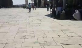 #مباشر| خطبة وصلاة الجمعة من المسجد الأقصى المبارك بالعاصمة الفلسطينية المحتلة، #القدس