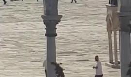 #شاهد فيديو من "اشتباك الأقصى" الذي نفذه ثلاثة أبطال من عائلة الجبارين في باحات الأقصى قبل عام وأسفر عن مقتل شرطيين إسرائيليين وإصابة ثالث بجراح خطيرة