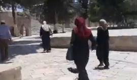 #شاهد | سلطات الاحتلال تفتح بوابات الأقصى المبارك المغلق منذ صباح الجمعة الماضية وتمنع الدخول إلى عبر بوابات إلكترونية.