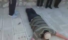 #شاهد مستوطنون يؤدون طقوسا تلمودية داخل باحات المسجد الأقصى