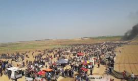 الان شرق جباليا

تصوير أنس الشريف