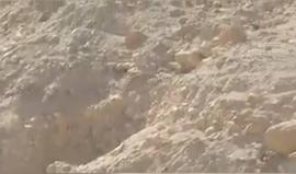 معركة على سفوح الجبال .. 

#شاهد ذئب يطارد جدي في مرتفعات القدس