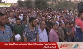 #بث_مباشر: مئات المرابطين يستعدون لأداء صلاة المغرب قرب باب الأسباط