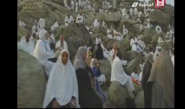 #شاهد حجاج بيت الله يصعدون لعرفات لأداء ركن الحج الأعظم