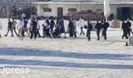 #شاهد مستوطنون يقتحمون باحات المسجد الأقصى بحماية قوات الاحتلال